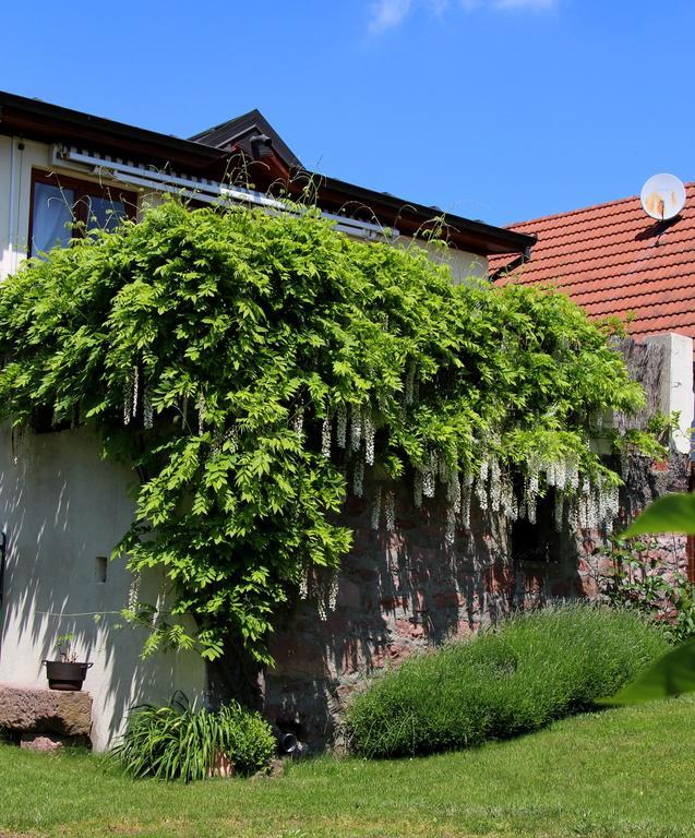 Les 3 Ceps Villa Bergholtz Buitenkant foto