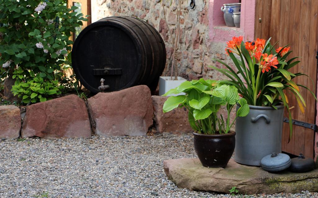 Les 3 Ceps Villa Bergholtz Buitenkant foto
